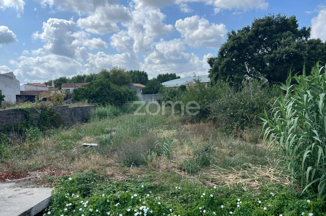 Terreno para Venda em Mealhada, Ventosa do Bairro e Antes Foto 10