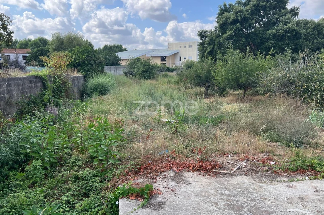 Terreno para Venda em Mealhada, Ventosa do Bairro e Antes Foto 3