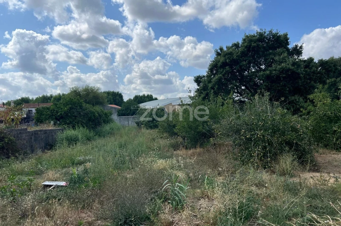 Terreno para Venda em Mealhada, Ventosa do Bairro e Antes Foto 4