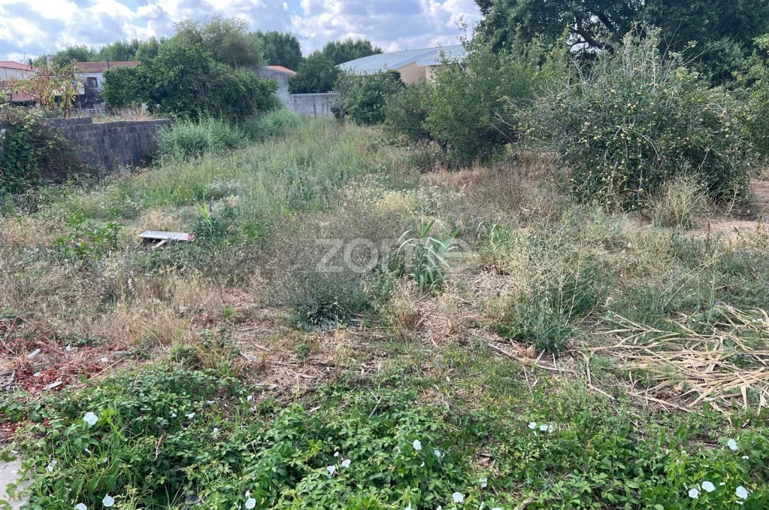 Terreno para Venda em Mealhada, Ventosa do Bairro e Antes Foto 13