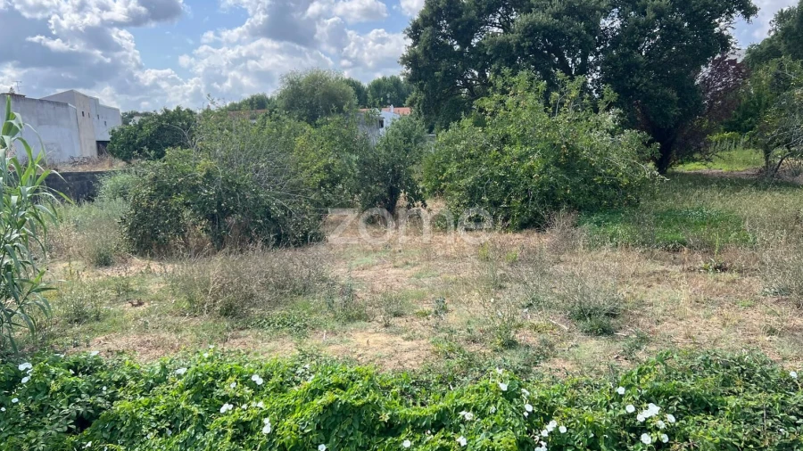 Terreno para Venda em Mealhada, Ventosa do Bairro e Antes