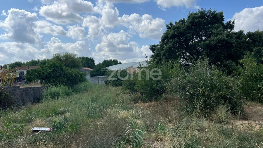 Terreno para Venda em Mealhada, Ventosa do Bairro e Antes