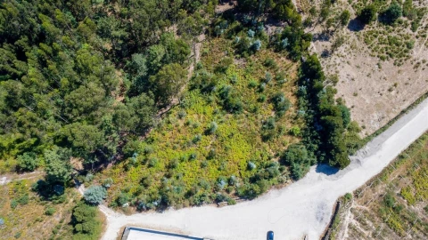 Terreno para Venda em Vila Boa do Bispo