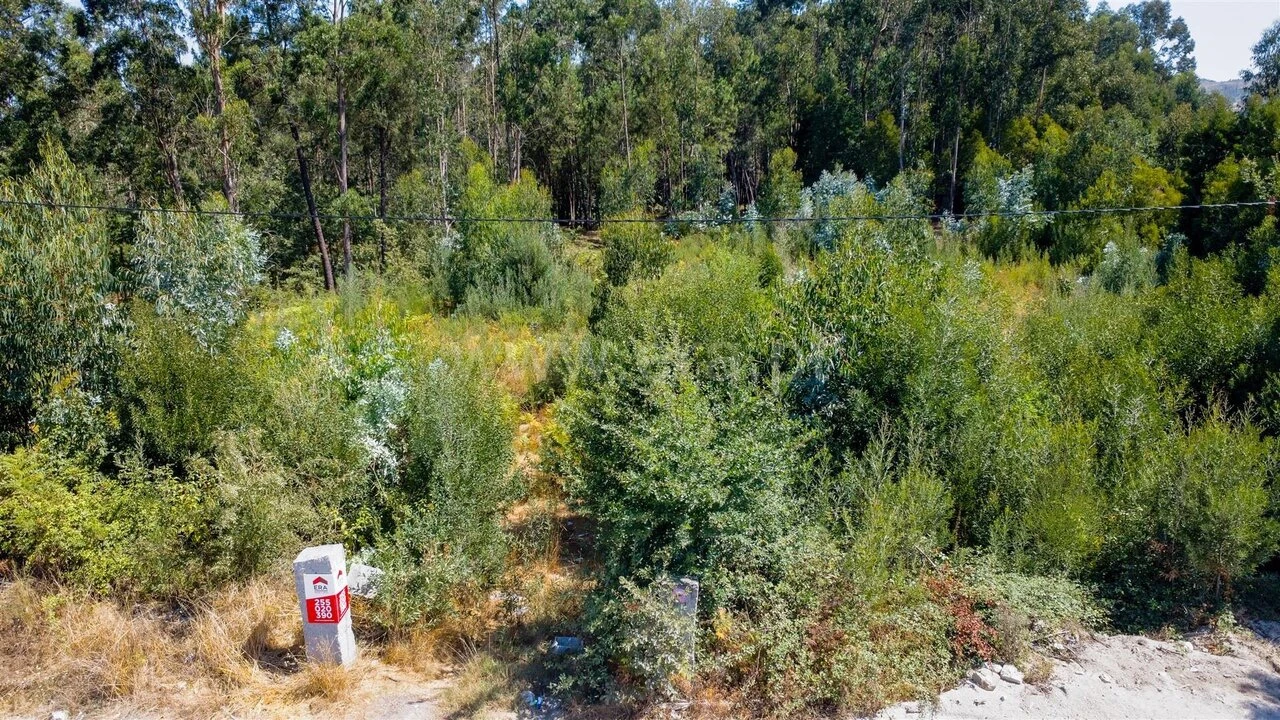 Terreno para Venda em Vila Boa do Bispo Foto 5