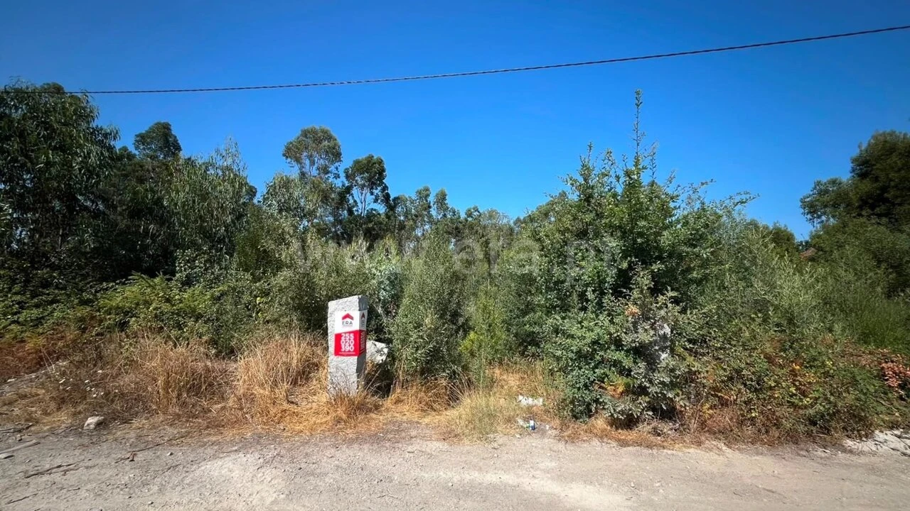 Terreno para Venda em Vila Boa do Bispo Foto 3