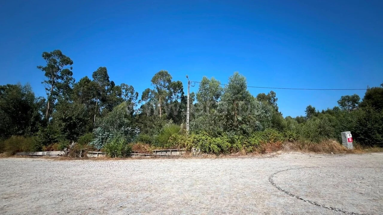 Terreno para Venda em Vila Boa do Bispo Foto 4