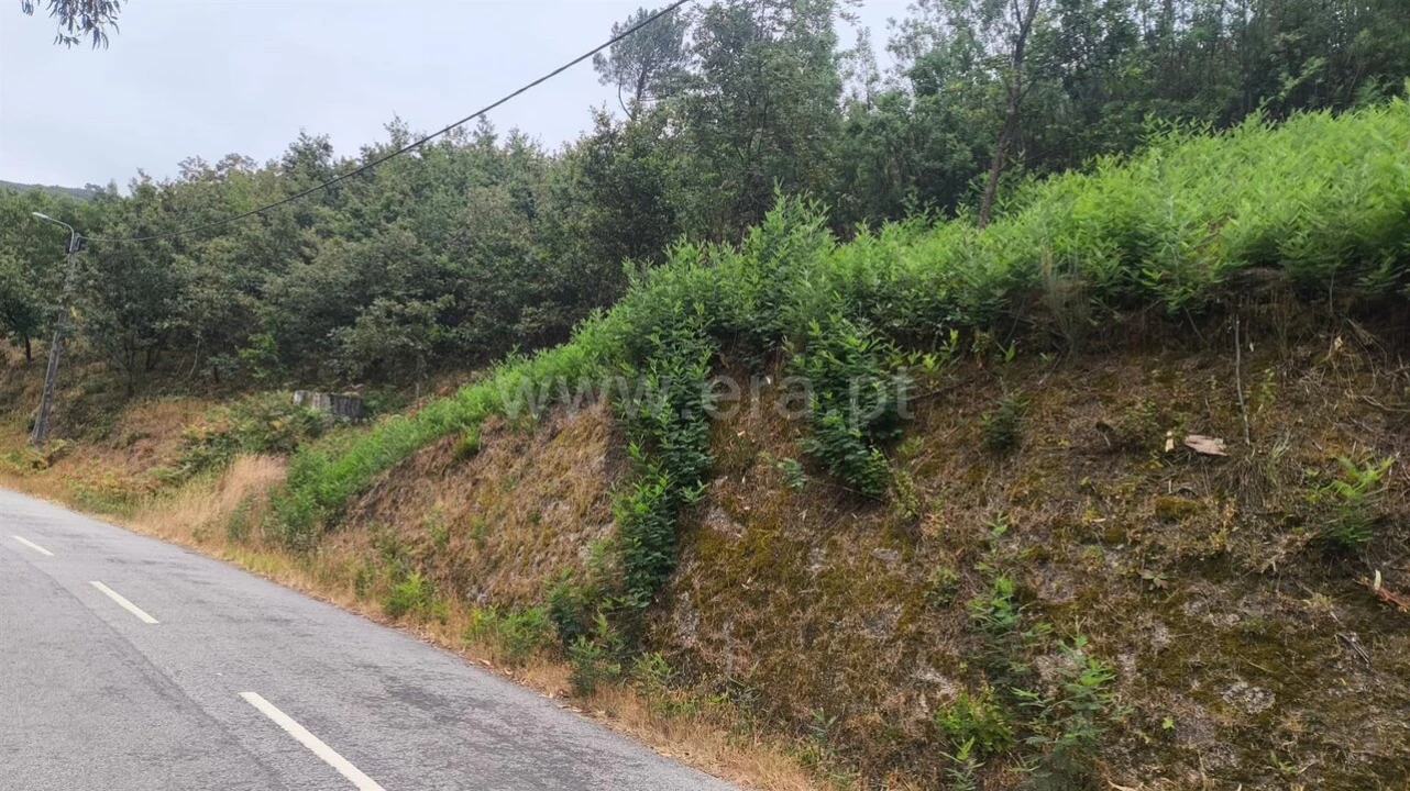 Terreno para Venda em Soalhães Foto 5