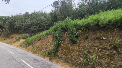 Terreno para Venda em Soalhães