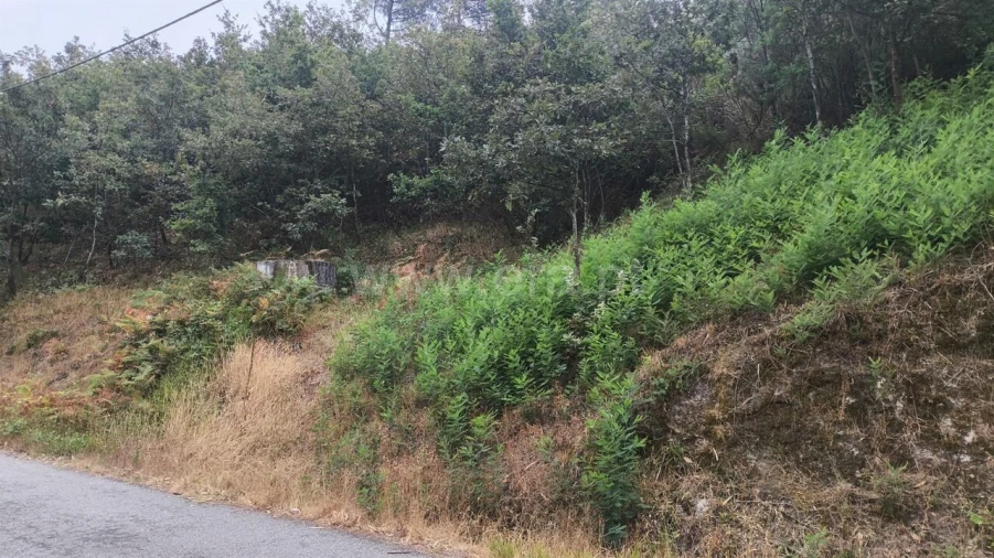 Terreno para Venda em Soalhães Foto 8