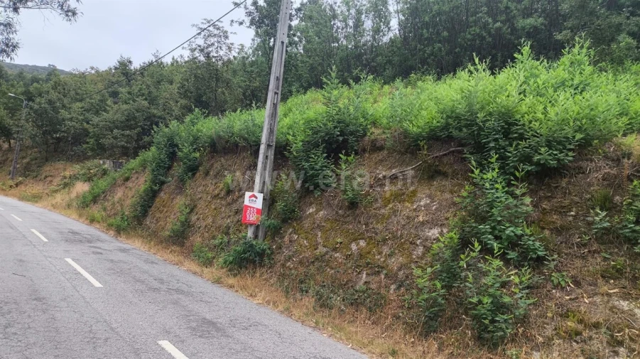 Terreno para Venda em Soalhães Foto 6