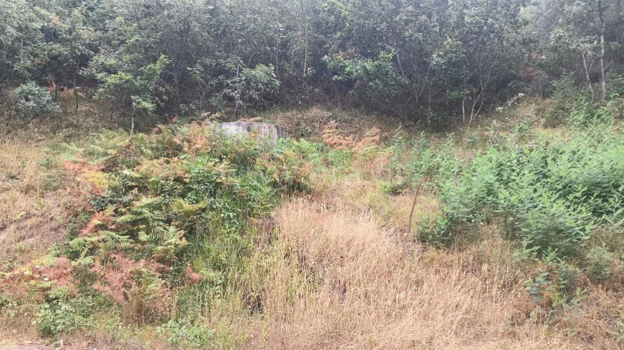 Terreno para Venda em Soalhães Foto 4
