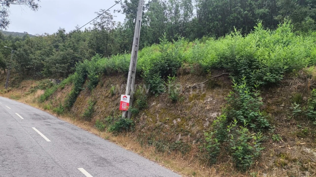 Terreno para Venda em Soalhães Foto 6