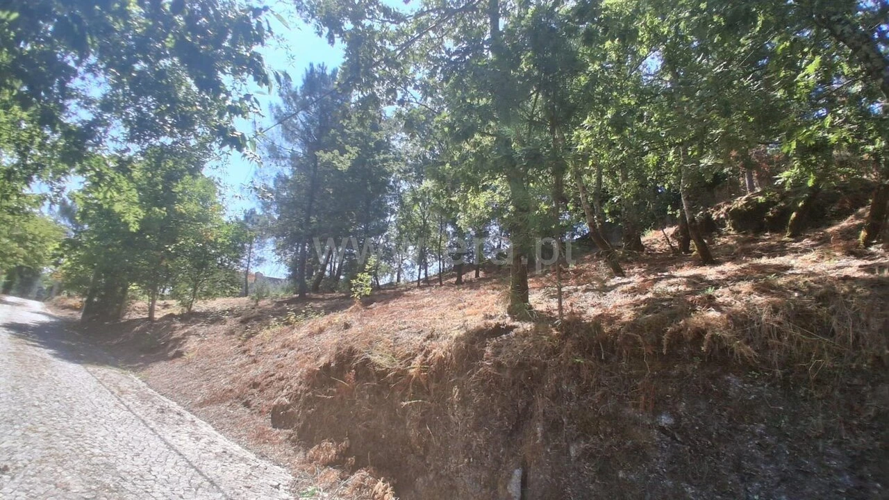 Terreno para Venda em Tabuado Foto 1