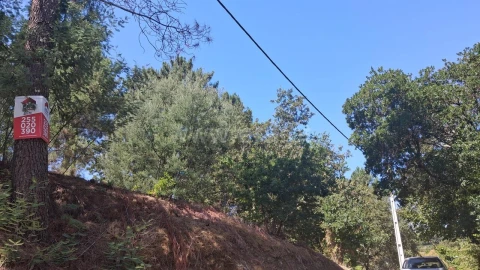 Terreno para Venda em Tabuado