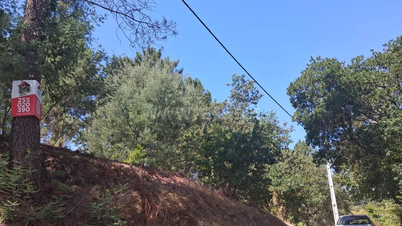 Terreno para Venda em Tabuado Foto 3
