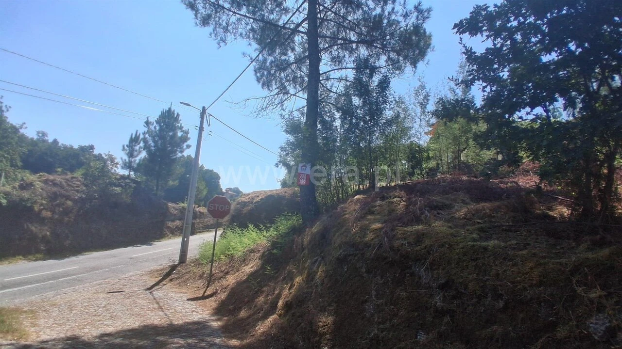 Terreno para Venda em Tabuado Foto 4