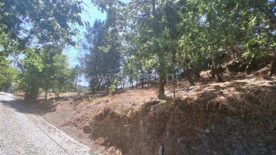 Terreno para Venda em Tabuado