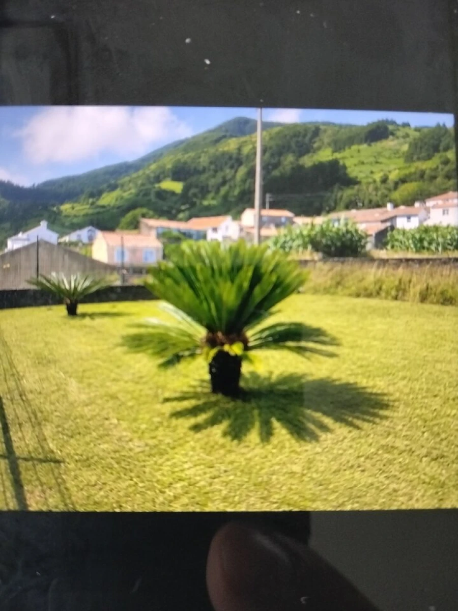 Terreno para Venda em Agua Retorta Foto 5