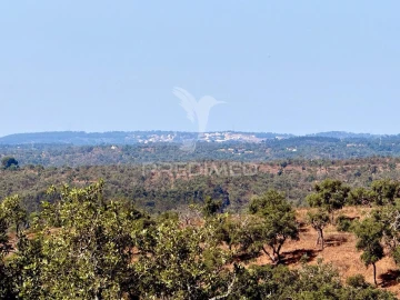 Quinta T0 para Venda em São Francisco da Serra