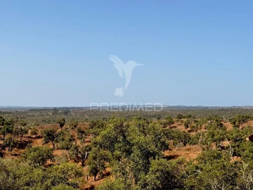 Quinta T0 para Venda em São Francisco da Serra