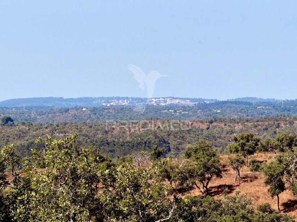 Quinta T0 para Venda em São Francisco da Serra Foto 21