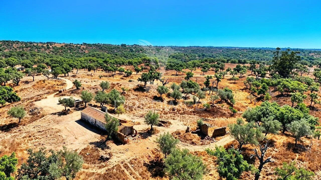 Quinta T0 para Venda em São Francisco da Serra Foto 26