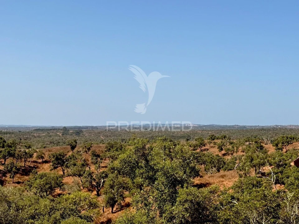 Quinta T0 para Venda em São Francisco da Serra Foto 20