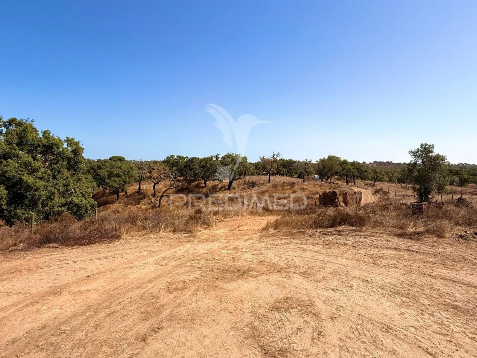 Quinta T0 para Venda em São Francisco da Serra Foto 17