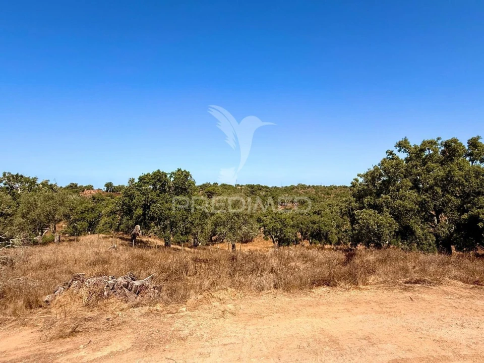 Quinta T0 para Venda em São Francisco da Serra Foto 18