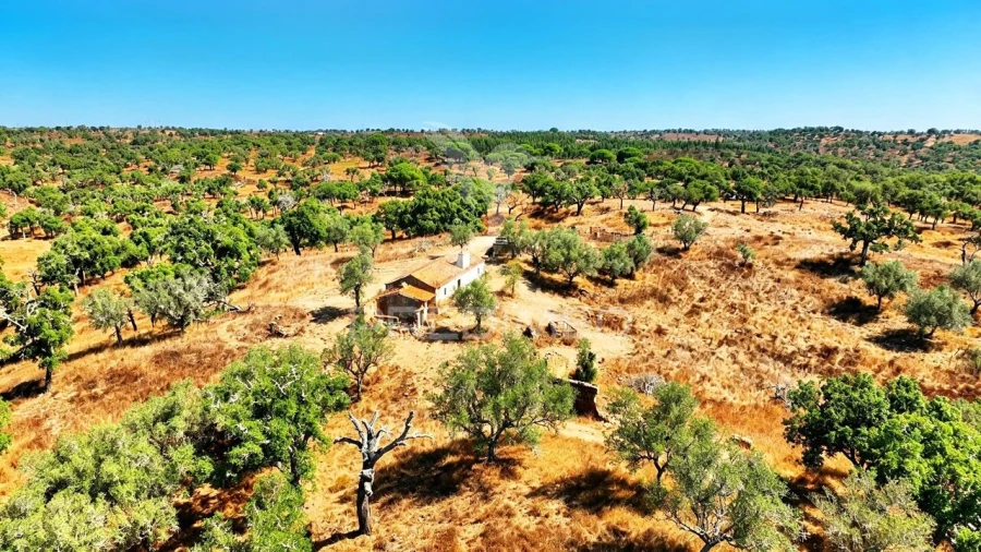 Quinta T0 para Venda em São Francisco da Serra Foto 25