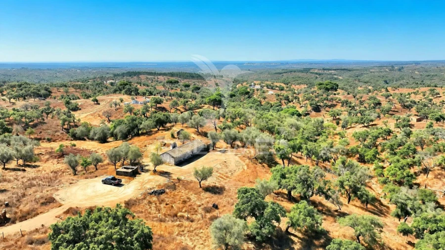 Quinta T0 para Venda em São Francisco da Serra