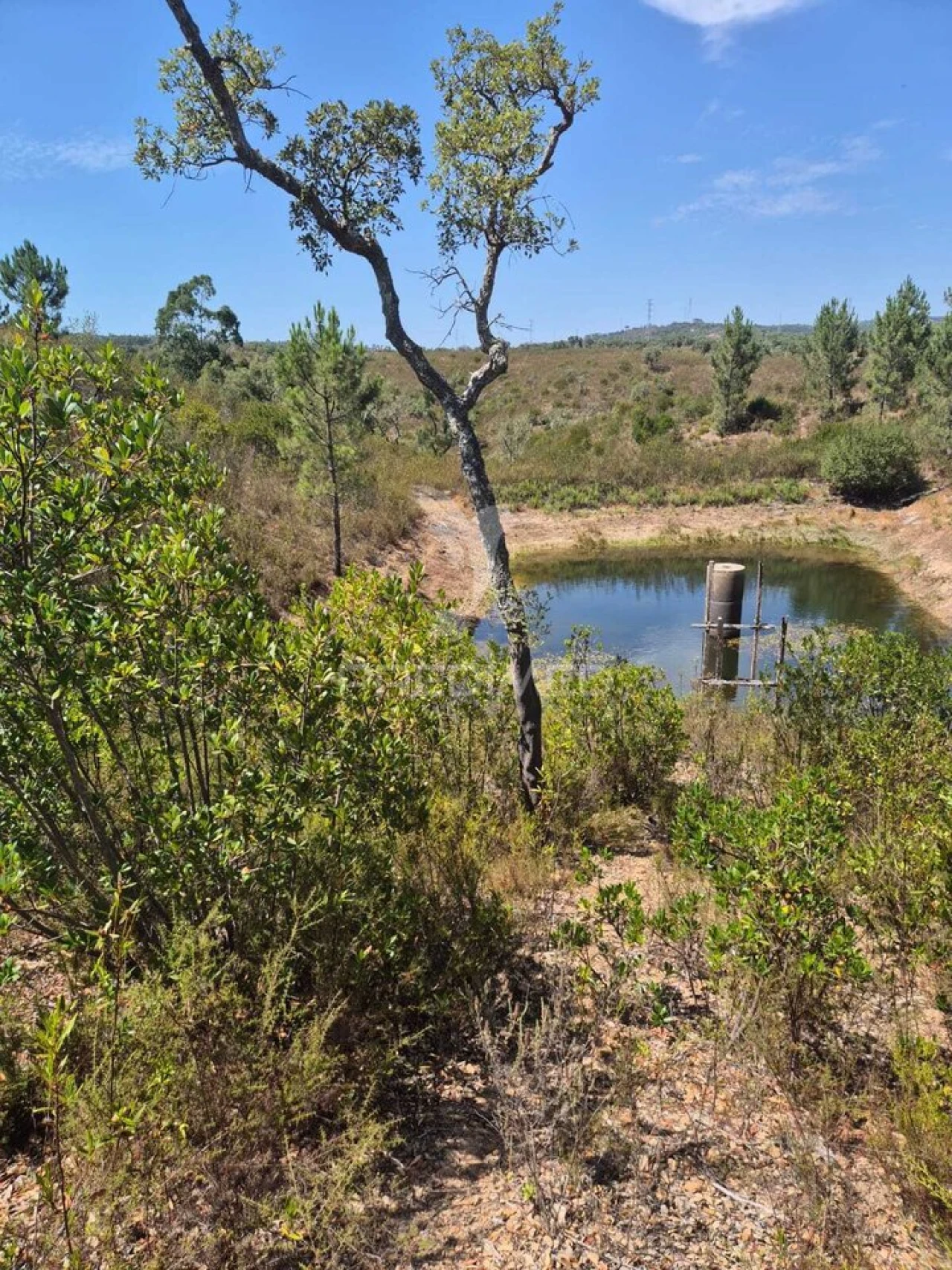Quinta T0 para Venda em Santiago do Cacém, Santa Cruz e São Bartolomeu da Serra Foto 7