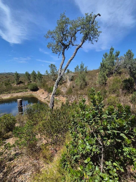 Quinta T0 para Venda em Santiago do Cacém, Santa Cruz e São Bartolomeu da Serra