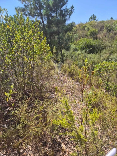 Quinta T0 para Venda em Santiago do Cacém, Santa Cruz e São Bartolomeu da Serra