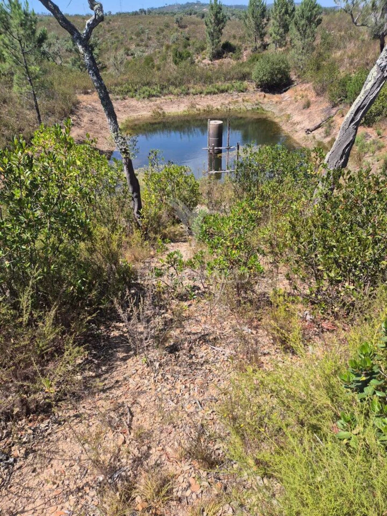 Quinta T0 para Venda em Santiago do Cacém, Santa Cruz e São Bartolomeu da Serra Foto 6