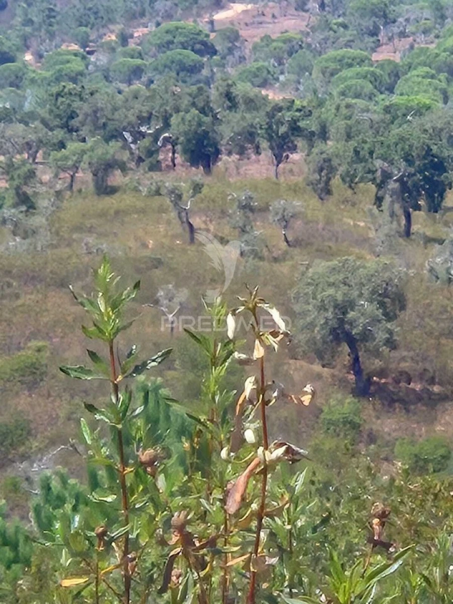 Quinta T0 para Venda em Santiago do Cacém, Santa Cruz e São Bartolomeu da Serra Foto 11