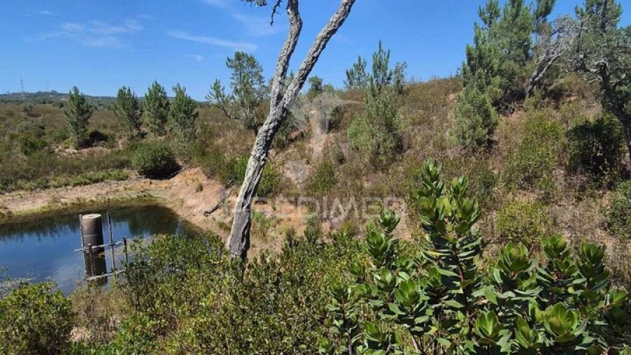 Quinta T0 para Venda em Santiago do Cacém, Santa Cruz e São Bartolomeu da Serra