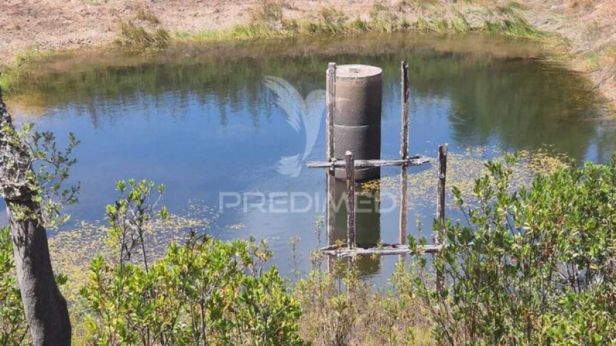 Quinta T0 para Venda em Santiago do Cacém, Santa Cruz e São Bartolomeu da Serra