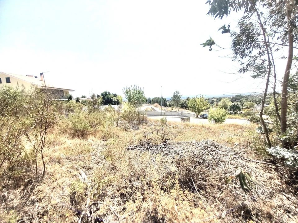 Terreno para Venda em Mouriscas Foto 4