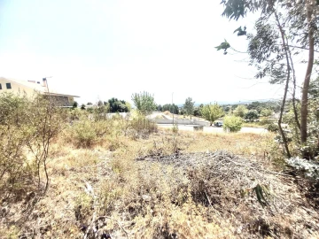 Terreno para Venda em Mouriscas