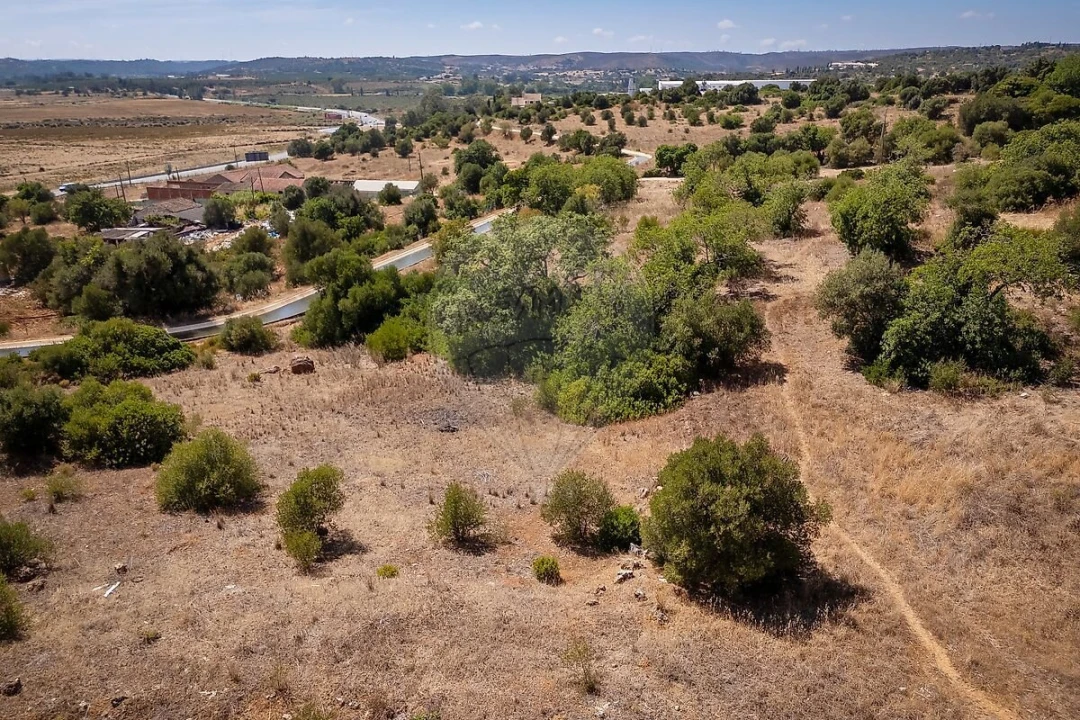 Terreno para Venda em Mexilhoeira Grande Foto 6