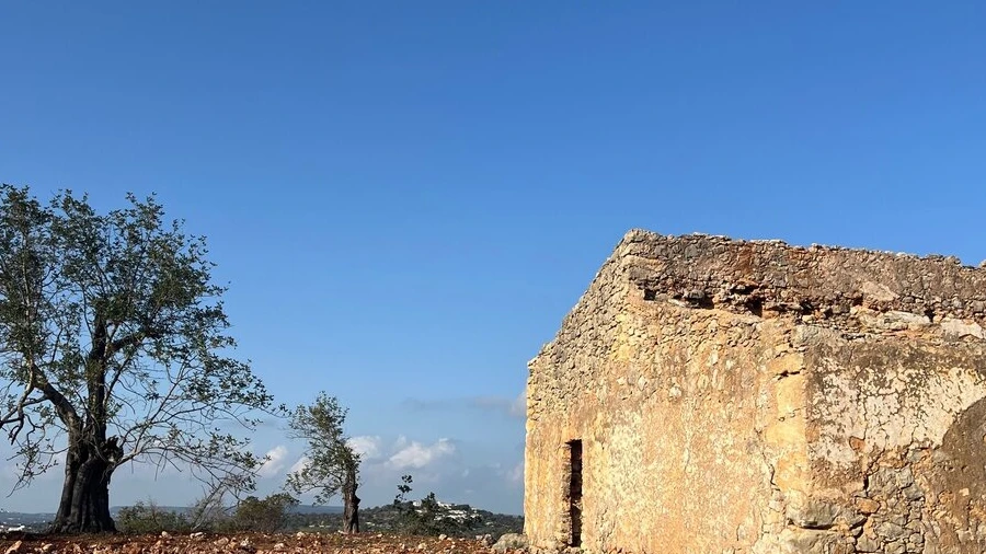 Moradia T1 para Venda em Paderne