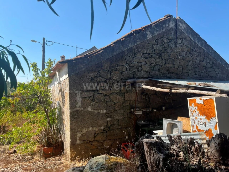 Terreno para Venda em Vale de Prazeres e Mata da Rainha Foto 9