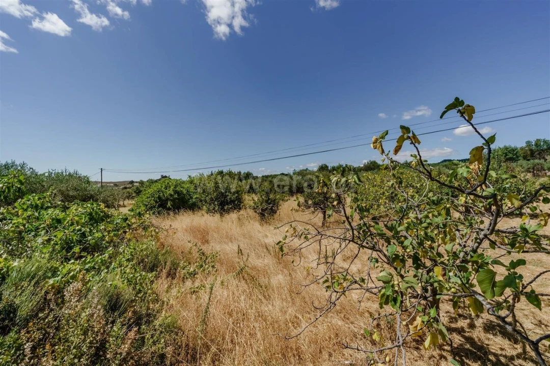 Terreno para Venda em Vale de Prazeres e Mata da Rainha Foto 14