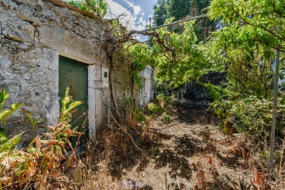 Terreno para Venda em Vale de Prazeres e Mata da Rainha