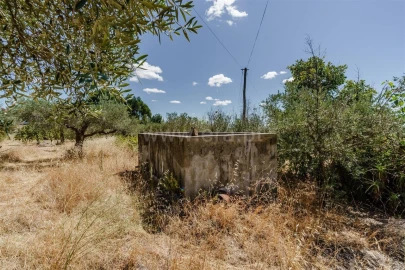 Terreno para Venda em Vale de Prazeres e Mata da Rainha
