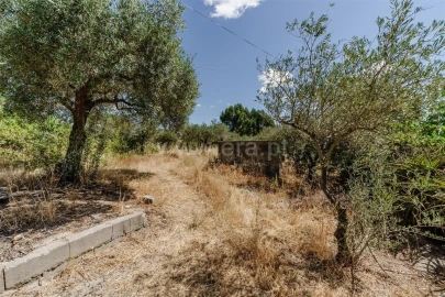 Terreno para Venda em Vale de Prazeres e Mata da Rainha