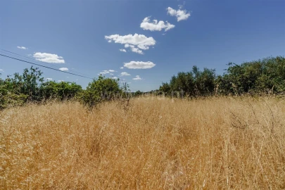 Terreno para Venda em Vale de Prazeres e Mata da Rainha