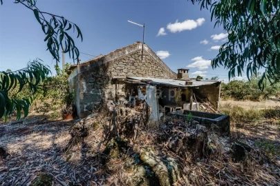 Terreno para Venda em Vale de Prazeres e Mata da Rainha