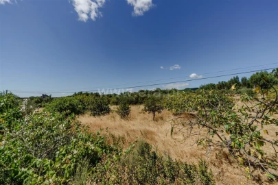 Terreno para Venda em Vale de Prazeres e Mata da Rainha